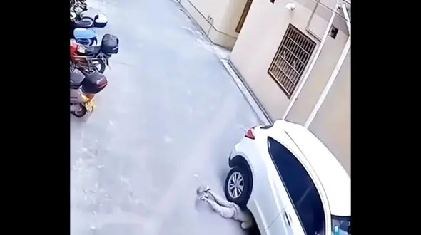 تصادف مرگبار زن جوان با خودرو / معجزه وار جان سالم به در برد!