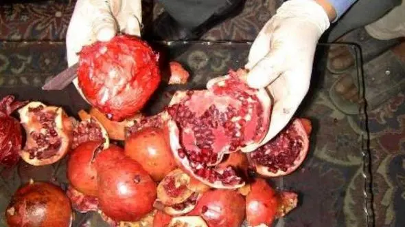 ماجرای انارهایی که مزه هروئین می دهد! + عکس