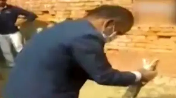 ورود ناگهانی مار پیتون غول پیکر به دانشگاه! +فیلم وحشتناک