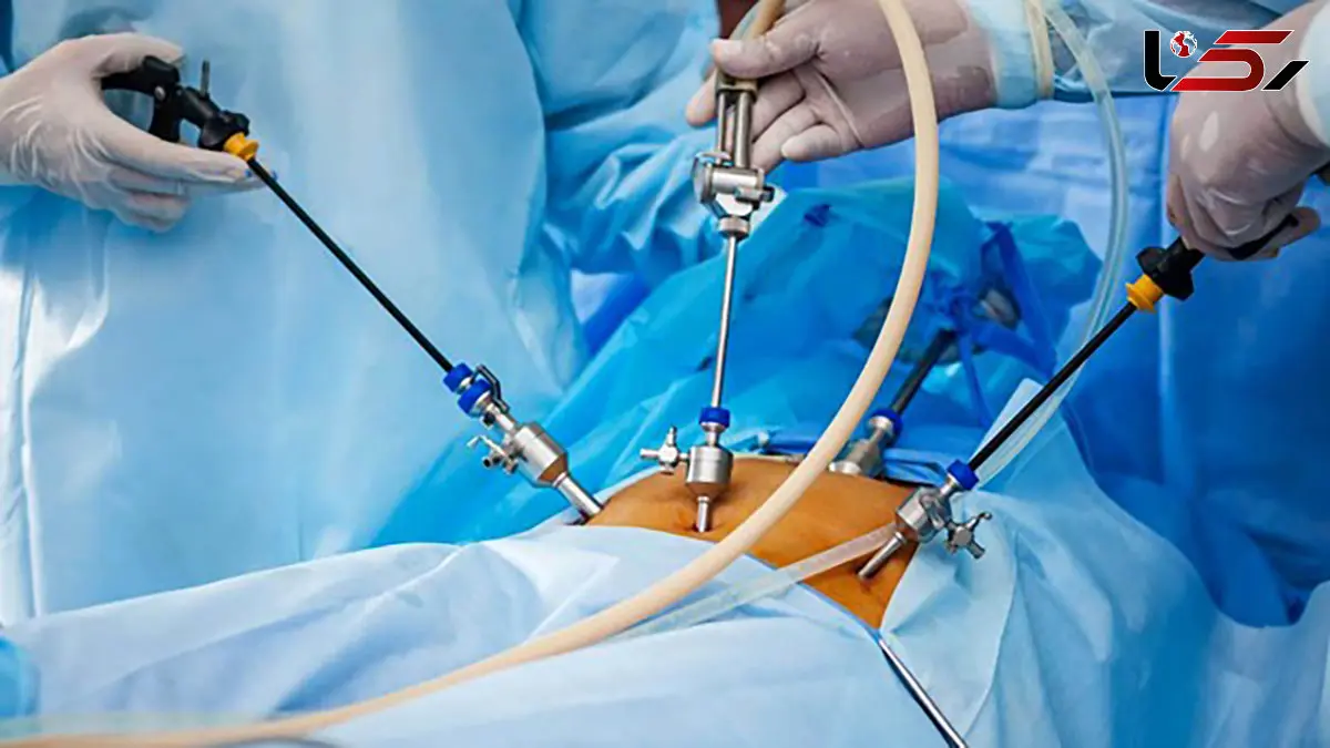 فلوشیپ چیست؟