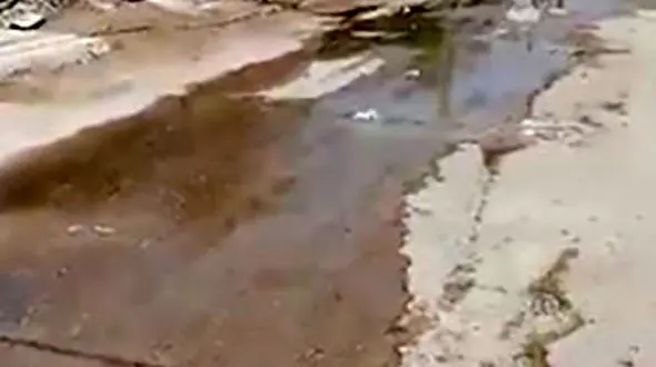 جوشش فاضلاب در خیابان‌های منطقه ذوالفقاری + ویدیو