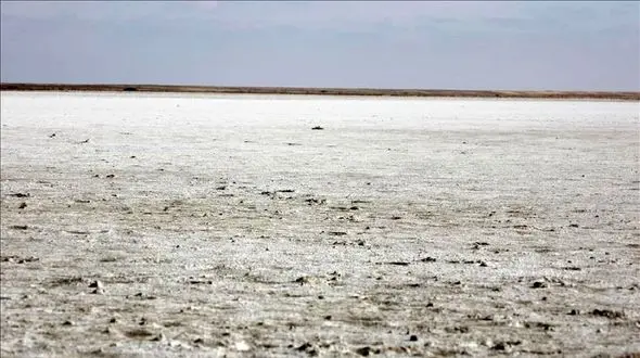 تهدید امنیت غذایی ایران با شورتر شدن خاک کشور / تغییرات اقلیمی شوری خاک را بیشتر می کند