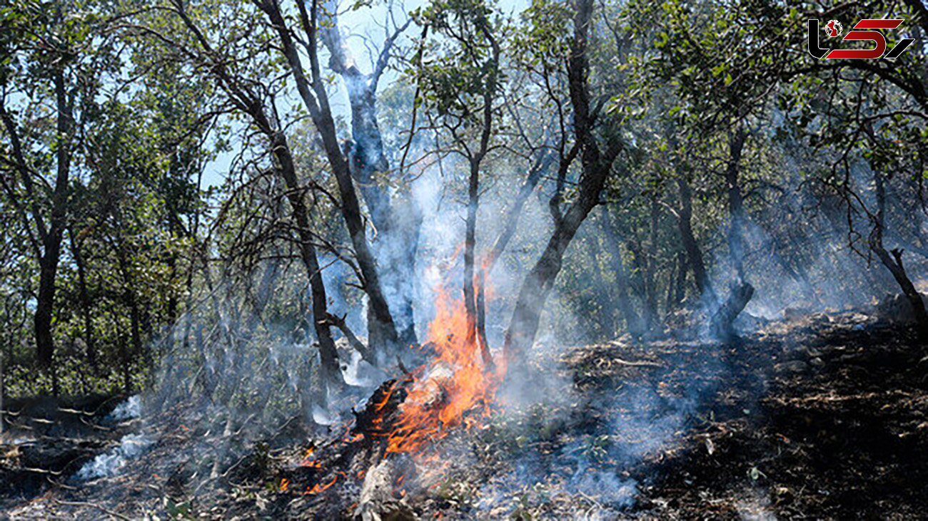 شعله ور شدن سه باره آتش سوزی جنگل‌های "شرآبگروه" چرام