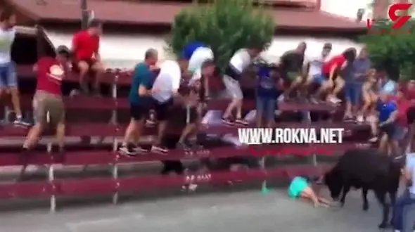 زنده ماندن باورنکردنی پسر جوان پس از حمله وحشتناک گاوها! +فیلم 