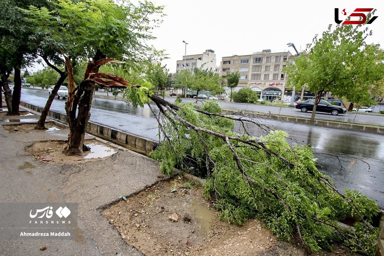 سرعت طوفان در زابل به ۱۰۸ کیلومتر بر ساعت رسید