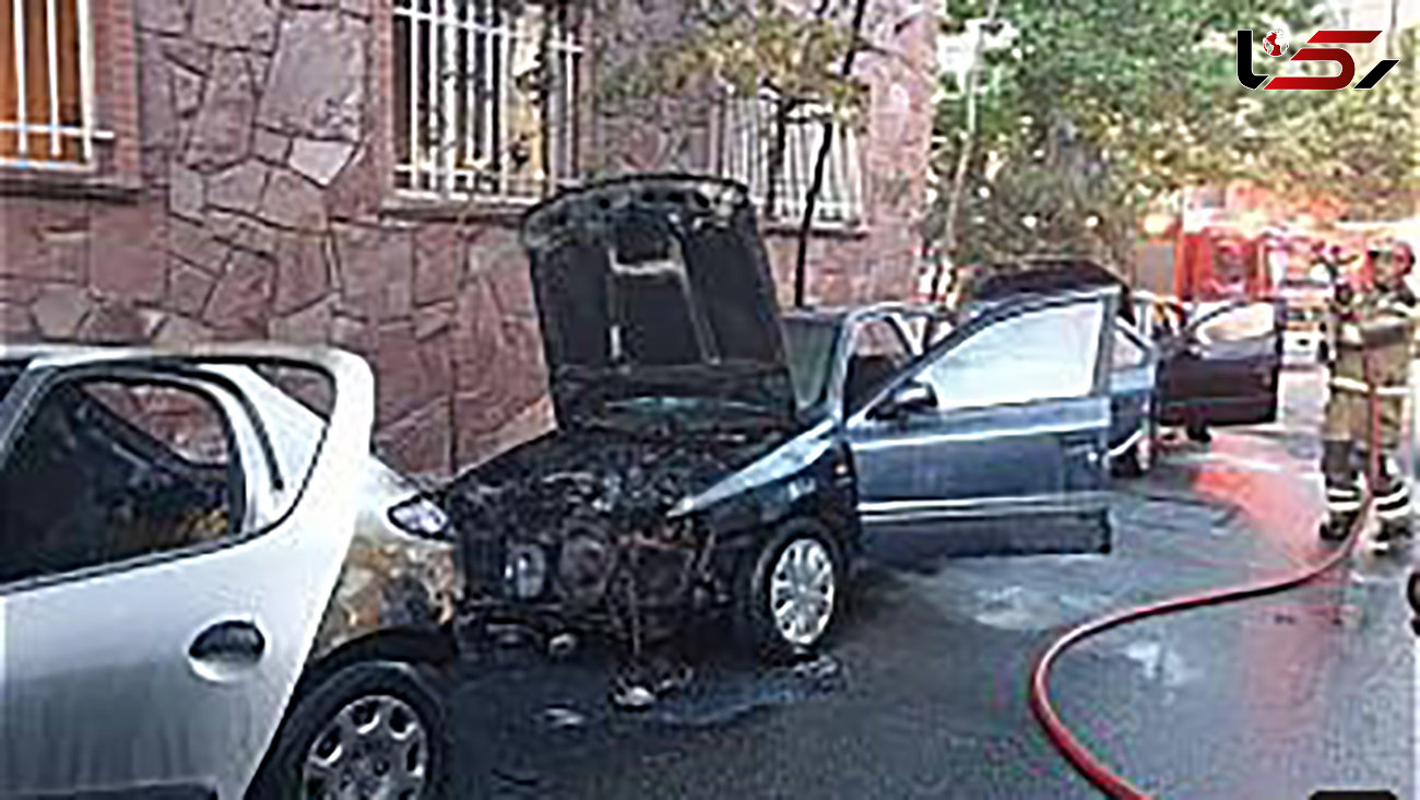بازداشت عامل آتش افروزی عمدی 4 خودرو در دیباجی + عکس