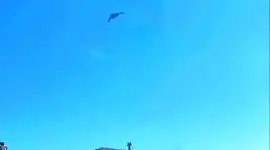 پرواز بمب‌ افکن‌ های B-2 بر فراز تهران و کرج + عکس