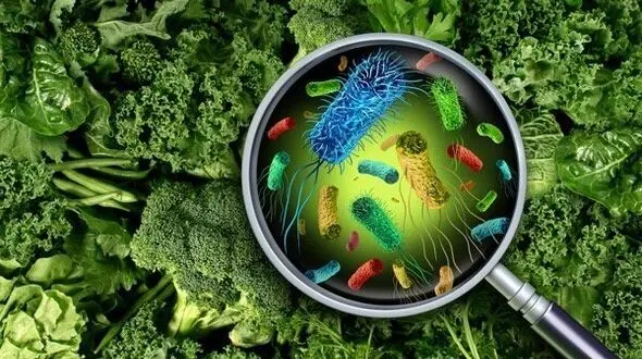 خطرات پنهان مسمومیت در کمین کودکان کدام اند؟/ هفته پیشگیری از مسمومیت‌ها