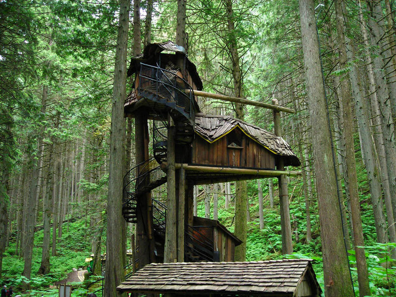 amazing-tree-house-designs-12 - Copy