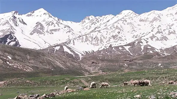 عجیب ترین اتفاق هوایی در زردکوه + فیلم