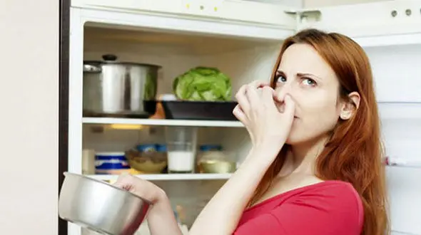 روش های ساده برای خوشبو کردن خانه‌