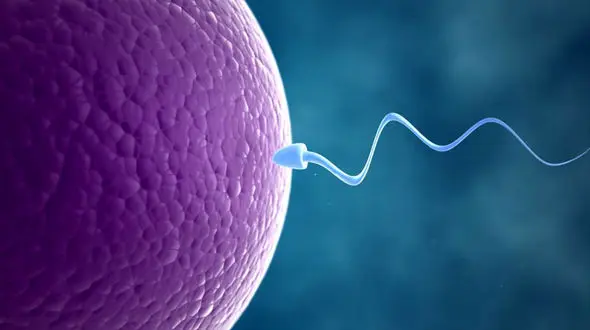 آیا فروش اسپرم جرم است؟