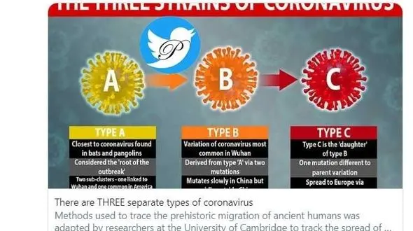 کشف ۳ نوع کروناویروس توسط دانشمندان + تصویر