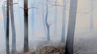 آتش‌سوزی اراضی جنگلی تالش مهار شد 