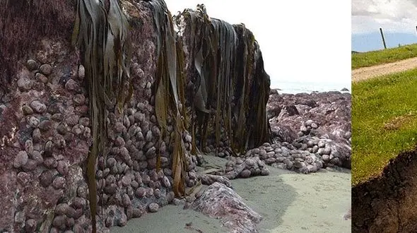 دیواری صخره ای و دیدنی در نیوزلند + عکس های جالب