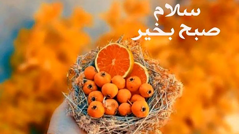 سلام صبح بخیر