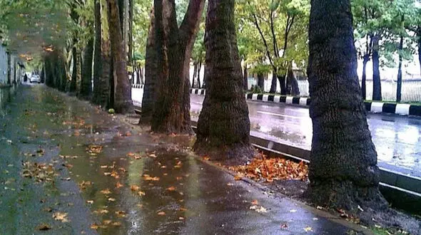 باد و باران خبری خوش برای تهرانی ها