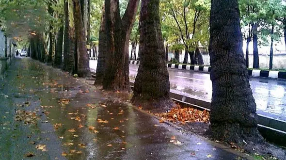 باد و باران خبری خوش برای تهرانی ها