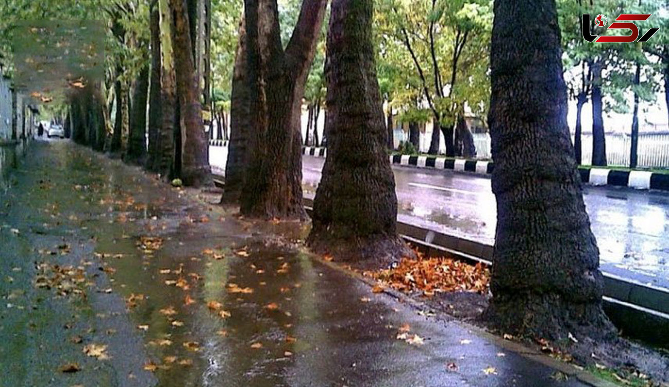 بالاخره یک خبر خوب / فردا تهران بارانی می شود