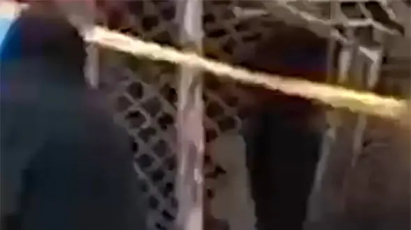 دزد بدشناس با ماشین سرقتی وارد مغازه مرد مشهدی شد + فیلم