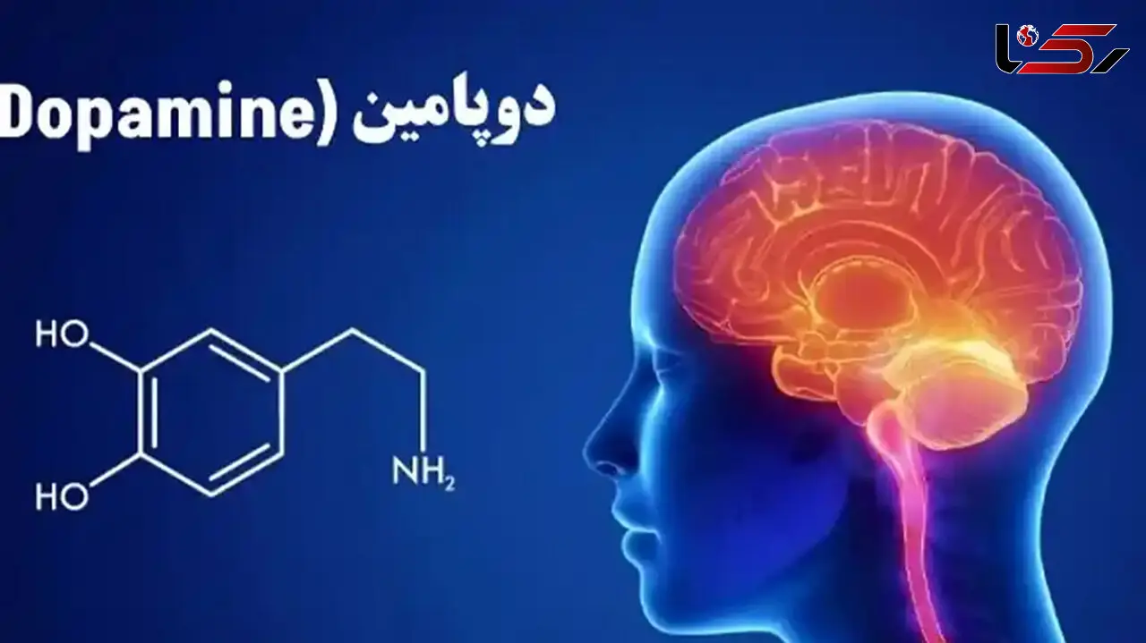 9 تا چیزی که بیشتر از الکل دوپامین می دهند