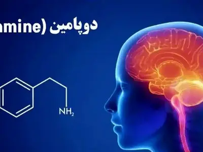 9 تا چیزی که بیشتر از الکل دوپامین می دهند