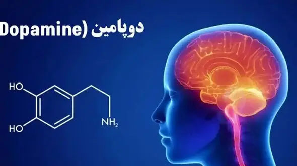 9 تا چیزی که بیشتر از الکل دوپامین می دهند