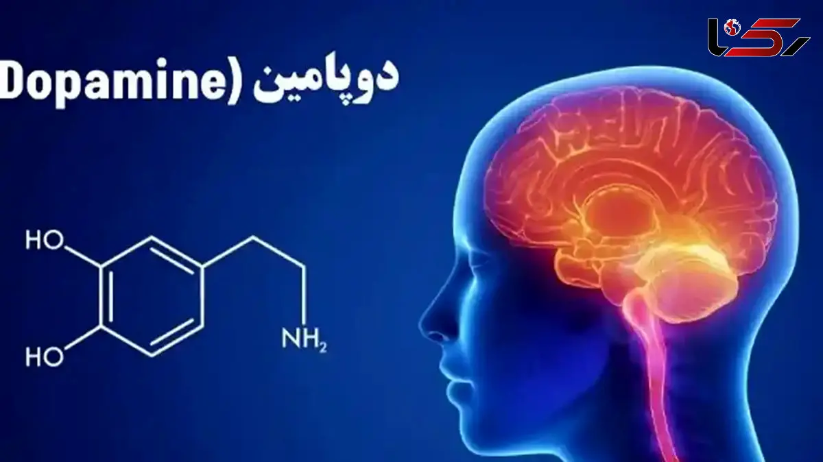 9 تا چیزی که بیشتر از الکل دوپامین می دهند