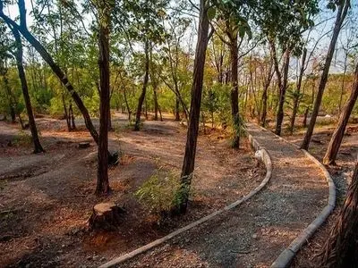 پارک خرگوش دره تهران؛ مقصدی مناسب برای طبیعت گردی