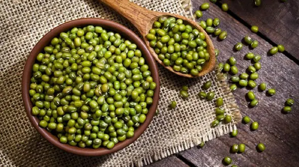 بیشترین کلسیم در ماش / خواص ماش سبز