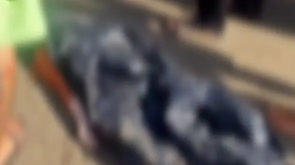 فیلم کشف جسد دختر 12 ساله مشهدی در ساحل دریای بابلسر / پسر عموی ۸ ساله اش راهی بیمارستان شد