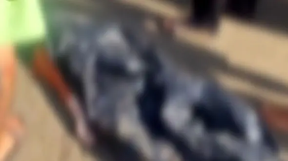 فیلم کشف جسد دختر 12 ساله مشهدی در ساحل دریای بابلسر / پسر عموی ۸ ساله اش راهی بیمارستان شد