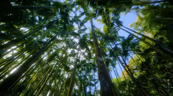 ریلکس کنید / نماهنگ بی کلام آرامش بخش + فیلم 