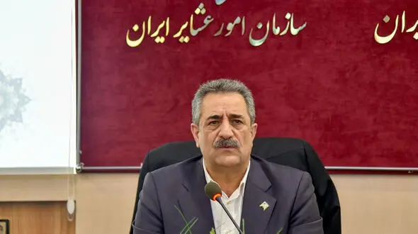 گام تازه سازمان عشایر برای حذف واسطه‌ها؛زنجیره تولید تا عرضه گوشت عشایر ساماندهی می‌شود