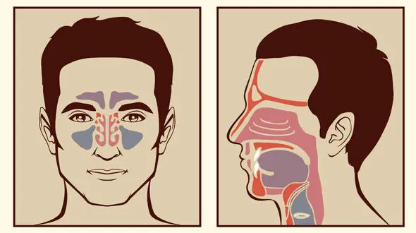 تکنیکی برای پاک کردن سینوس‌ها