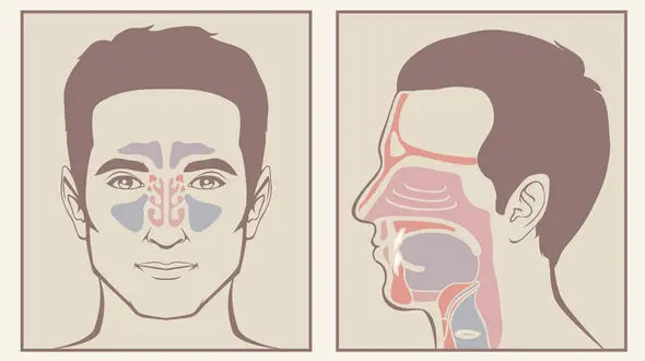 تکنیکی برای پاک کردن سینوس‌ها