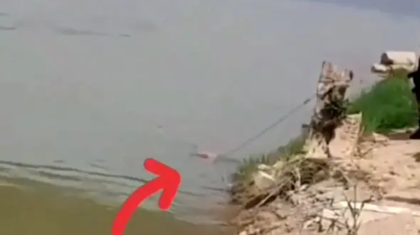 فیلم لحظه کشف جنازه مردانه کنار پل نادری اهواز / بررسی مرگ پر ابهام 