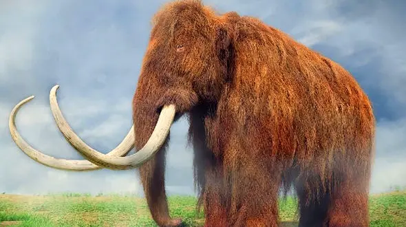 این حیوانات ماقبل تاریخ سالم از دل یخ بیرون آمدند! + عکس