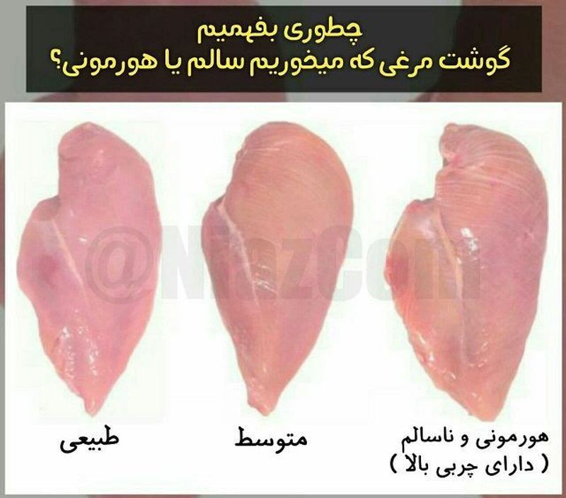 سینه مرغ هورمونی