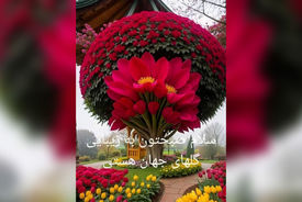 فال و طالع بینی روزانه 17 اردیبهشت + فیلم 