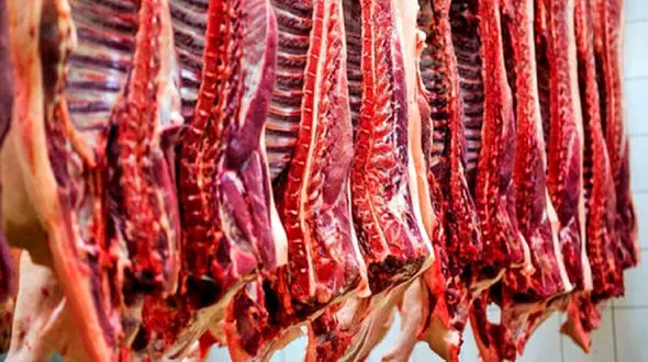 گوشت گاو و هزار مرض!