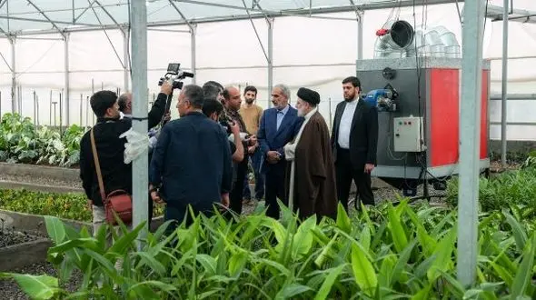  بهره‌برداری از 350 گلخانه روستایی با مشارکت مردم/ افزایش10 برابری تولید و بهره‌وری روستایی در استان مازندران 