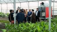  بهره‌برداری از 350 گلخانه روستایی با مشارکت مردم/ افزایش10 برابری تولید و بهره‌وری روستایی در استان مازندران 