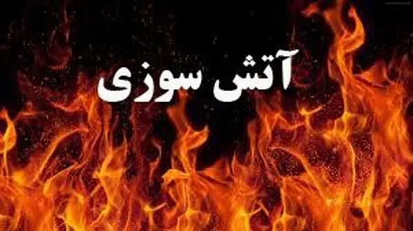 پرتاب بطری انفجاری به پارکینگ خانه در نیشابور! / هدف فرد کینه توز که بود؟