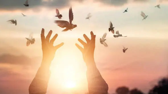 4 دعای سریع برای شفا