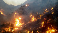 آتش سوزی منابع طبیعی تنگ خاص ممسنی مهار شد