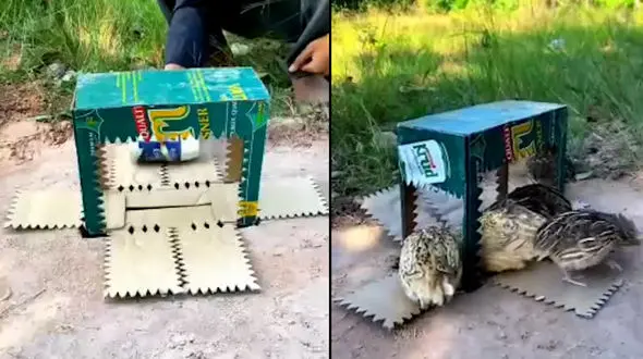 ببینید / خلاقیت جالب در ساخت تله+ فیلم 