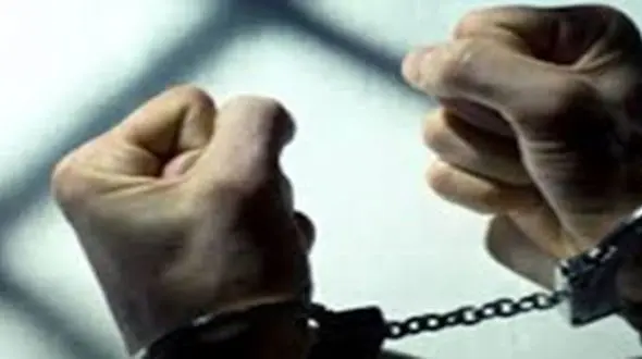 سلاخی جوان بابلسری نیمه های شب در خیابان