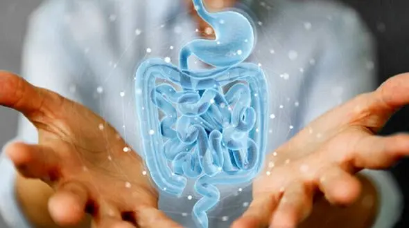 4 ویتامین ضروری برای داشتن روده‌ای سالم و شاداب