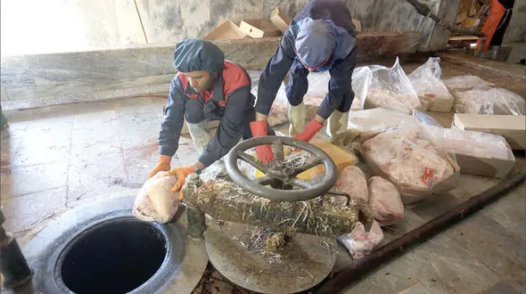 ماجرای 34 تن گوشت آلوده در مشهد / 7 تن در کوره آتش معدوم شد + عکس